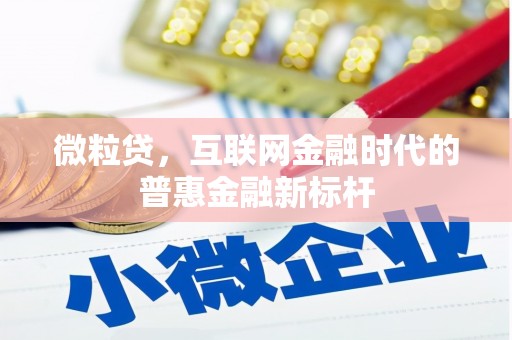 太湖微粒贷，互联网金融时代的普惠金融新标杆