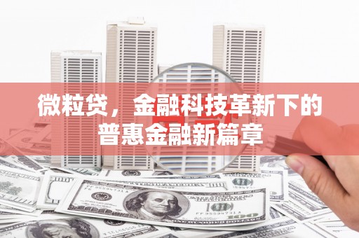 沙雅微粒贷，金融科技革新下的普惠金融新篇章
