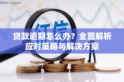 柳东贷款逾期怎么办？全面解析应对策略与解决方案