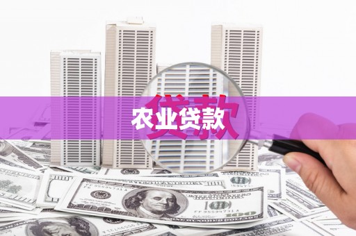 坪山新区农业贷款