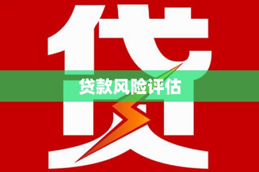 迪庆贷款风险评估