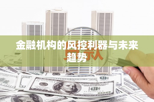 丹凤金融机构的风控利器与未来趋势