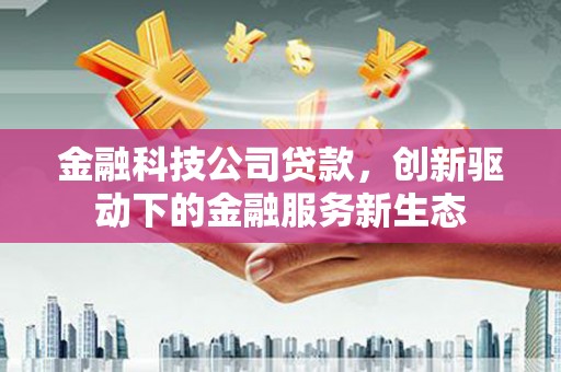 雨花金融科技公司贷款，创新驱动下的金融服务新生态