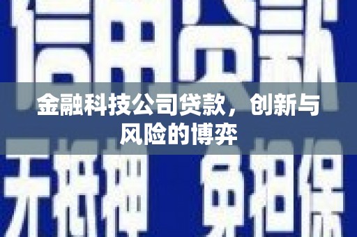 阿里金融科技公司贷款，创新与风险的博弈