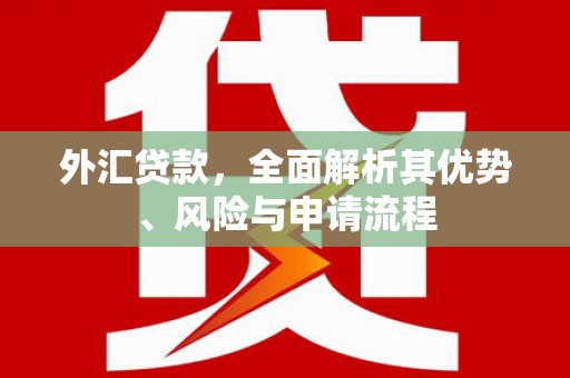 乌拉特中旗外汇贷款，全面解析其优势、风险与申请流程