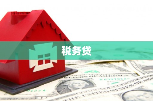 秀林税务贷