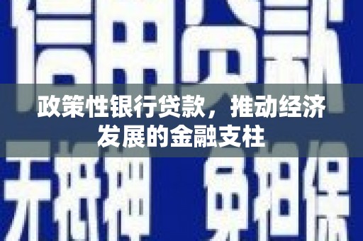 遂昌政策性银行贷款，推动经济发展的金融支柱