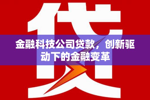 天元金融科技公司贷款，创新驱动下的金融变革