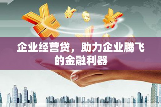 茂县企业经营贷，助力企业腾飞的金融利器