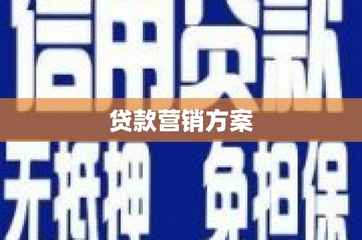 上林贷款营销方案