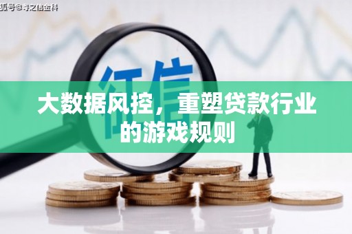 德宏大数据风控，重塑贷款行业的游戏规则