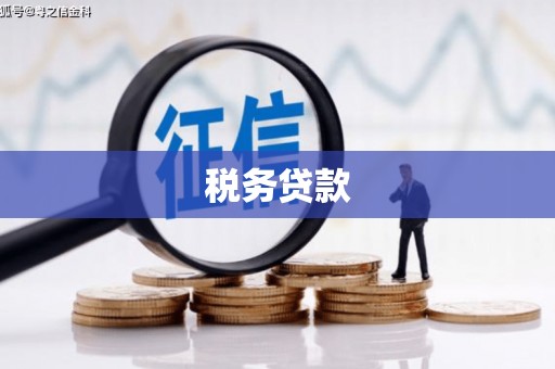 京口税务贷款