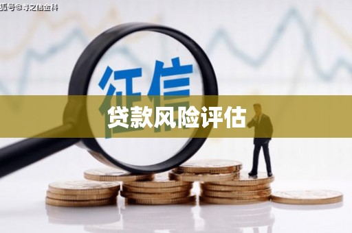 石屏贷款风险评估