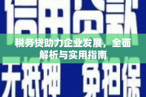 鄢陵税务贷助力企业发展，全面解析与实用指南