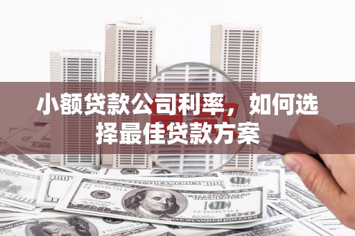 济宁小额贷款公司利率，如何选择最佳贷款方案