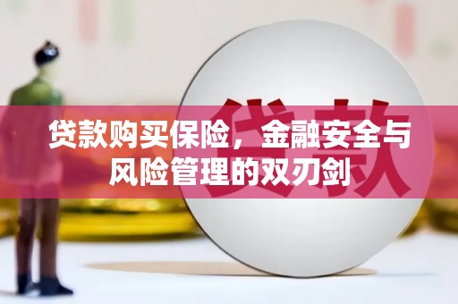 五桂山贷款购买保险，金融安全与风险管理的双刃剑