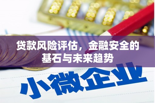 崖州贷款风险评估，金融安全的基石与未来趋势
