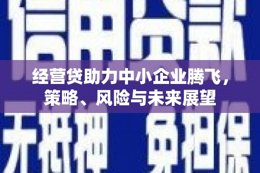 岢岚经营贷助力中小企业腾飞，策略、风险与未来展望