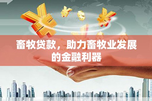 兰考畜牧贷款，助力畜牧业发展的金融利器