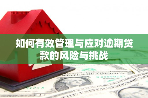 观塘如何有效管理与应对逾期贷款的风险与挑战