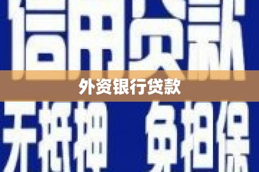 绥阳外资银行贷款