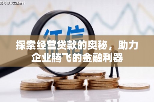 虾峙探索经营贷款的奥秘，助力企业腾飞的金融利器