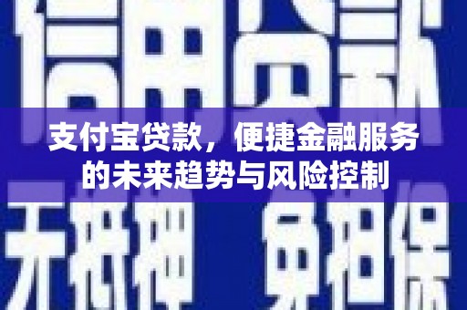 新园支付宝贷款，便捷金融服务的未来趋势与风险控制