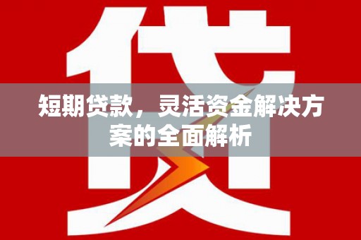 镇雄短期贷款，灵活资金解决方案的全面解析