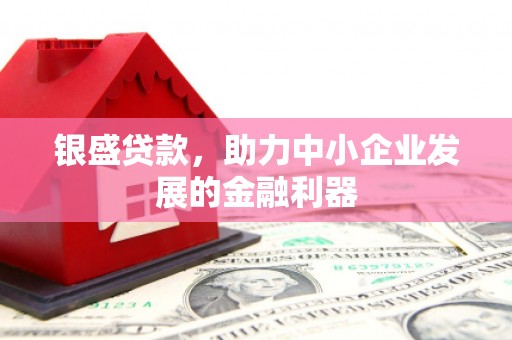 舞钢银盛贷款，助力中小企业发展的金融利器