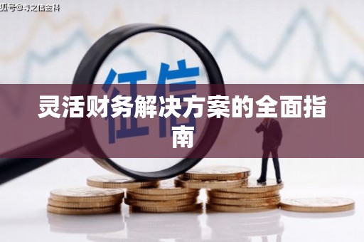 麦寮灵活财务解决方案的全面指南