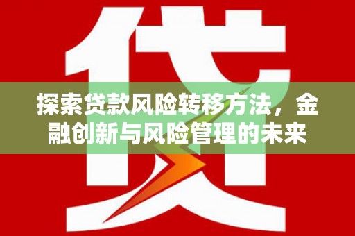 田林探索贷款风险转移方法，金融创新与风险管理的未来