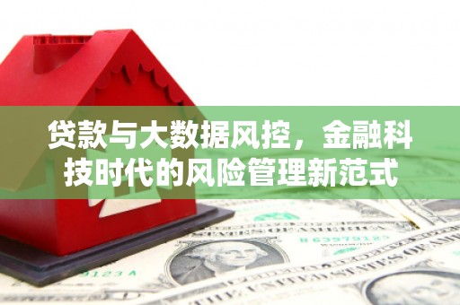 雁塔贷款与大数据风控，金融科技时代的风险管理新范式
