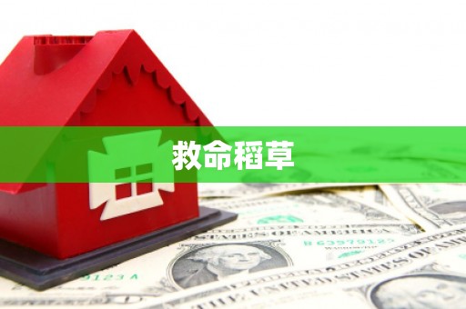 府谷救命稻草