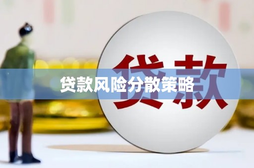 姚安贷款风险分散策略