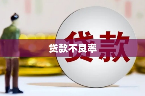 宁国贷款不良率