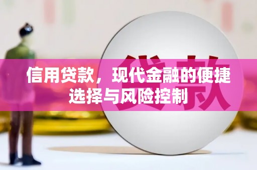 海港信用贷款，现代金融的便捷选择与风险控制