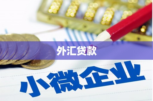 德保外汇贷款