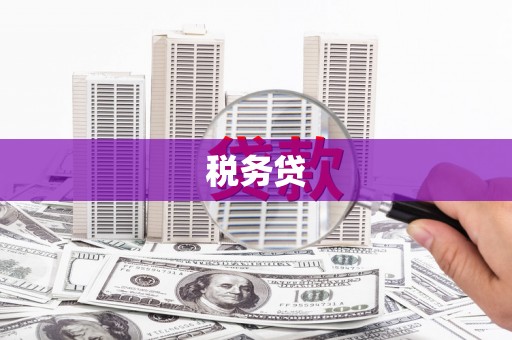 万年税务贷