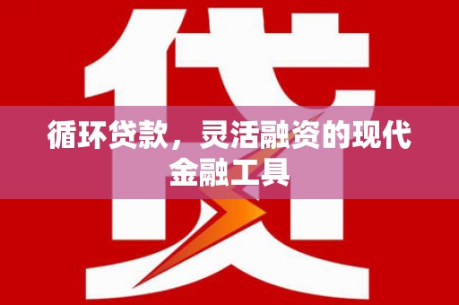 宝应循环贷款，灵活融资的现代金融工具