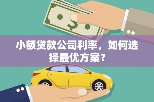嵩县小额贷款公司利率，如何选择最优方案？