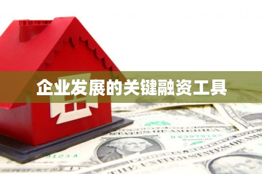 梁园企业发展的关键融资工具