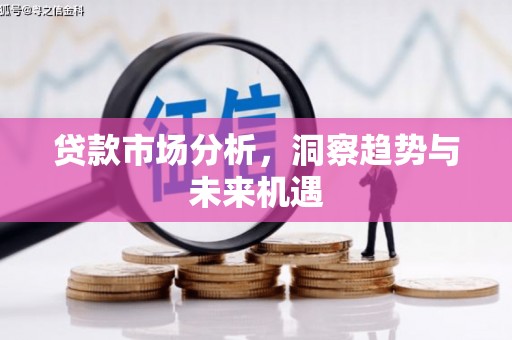 宁洱贷款市场分析，洞察趋势与未来机遇