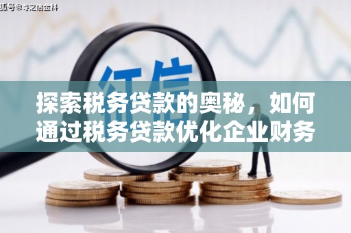桃江探索税务贷款的奥秘，如何通过税务贷款优化企业财务