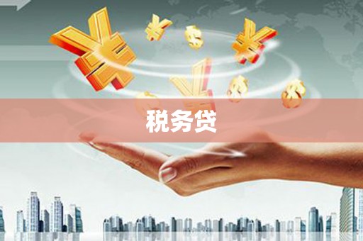 富源税务贷