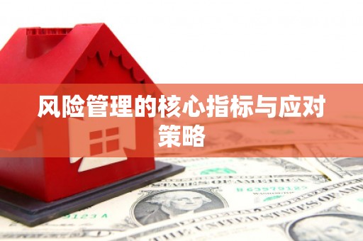 沁源风险管理的核心指标与应对策略