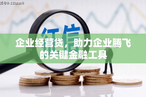 浦北企业经营贷，助力企业腾飞的关键金融工具