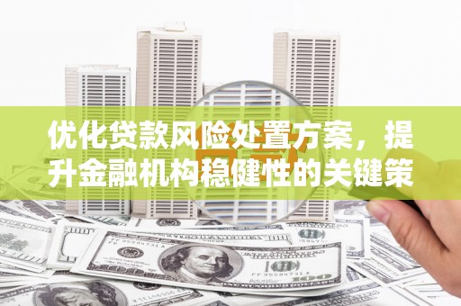 福州优化贷款风险处置方案，提升金融机构稳健性的关键策略