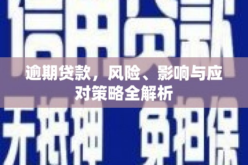 奉新逾期贷款，风险、影响与应对策略全解析