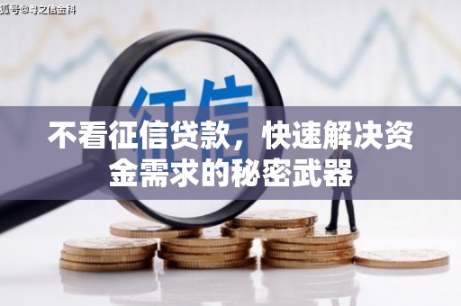 盐亭不看征信贷款，快速解决资金需求的秘密武器