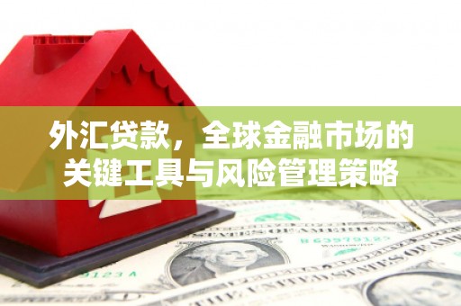 德化外汇贷款，全球金融市场的关键工具与风险管理策略